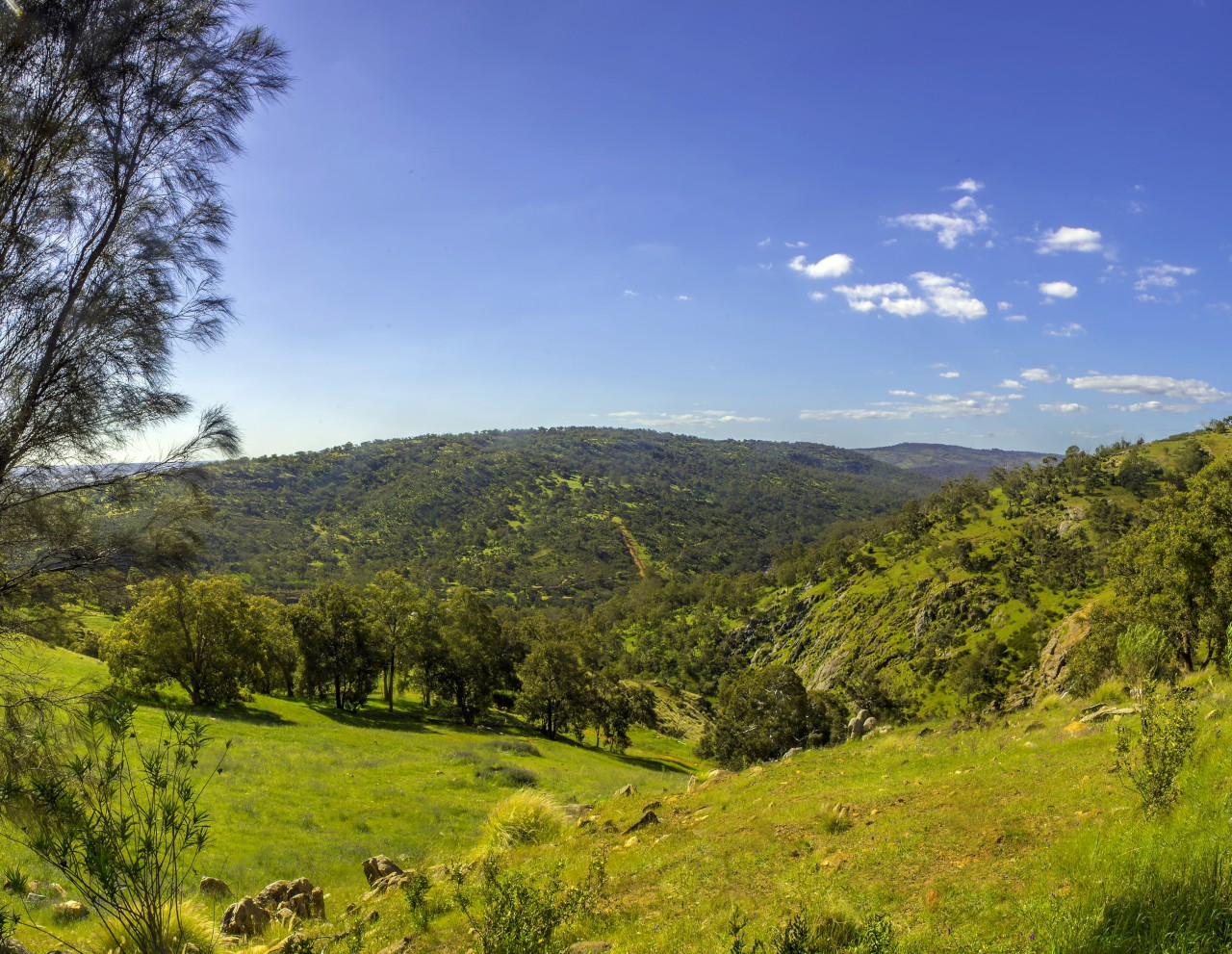 Perth Hills Image 0
